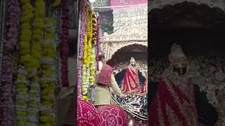 Live - Radha Vallabh Lal ji ki Mangal Aarti🌺🦚🌺