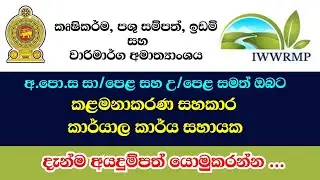 කළමනාකරණ සහකාර | කාර්යාල කාර්ය සහායක | Goverment job vacancies 2025 | Job Plus LK