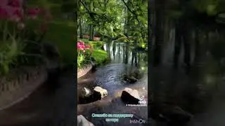 О мире