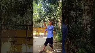 Wing chun Biu Gee form short techniques