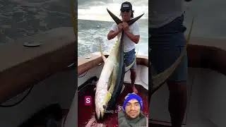 facts animals factsinhindi #amazingfacts #viralvideo whitetiger koifish animalfacts #richestanimals