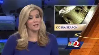Search for missing cobra in its fourth day
