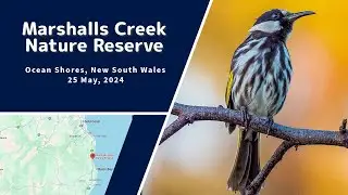 Marshalls Creek Nature Reserve, Ocean Beach, NSW.