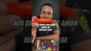 Lure topwater untuk toman