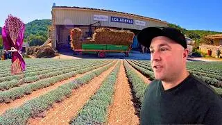 A Quick Tour Inside Provence Lavender Fields & Distillery!