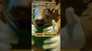 Sarung Tangan Ajaib || Chinese Zodiac 2012