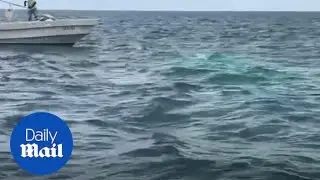 Police in the Bahamas look for missing helicopter