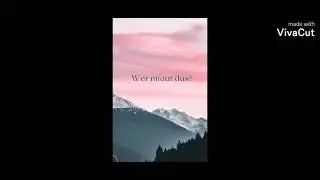 Wer hat das miaut Warrior Cats  Zitate Quiz