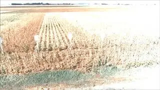 Donau Soja Demo Platform in Secuieni, Romania 2020 - part 4