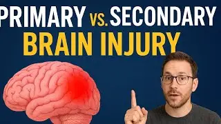 Primary vs Secondary Brain Injury Explained &mdash; Hope for TBI Recovery