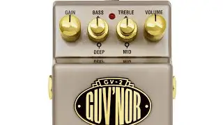 Marshall Gv-2 Guv'Nor Plus on Bass Guitar