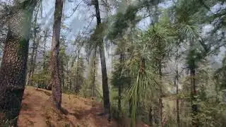 location:- Shimla