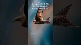 देखिए एक बाज कैसे बादलों की उड़ान भरता है  #short #viral #motivation