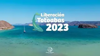Totoaba release 2023 (Subtitle)