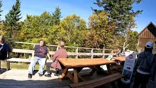 Canadian Maple Leaf Season  加拿大枫叶季