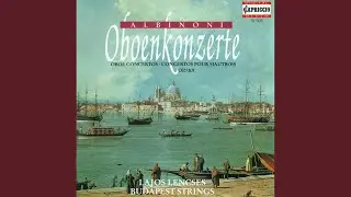 Oboe Concerto in D Minor, Op. 9, No. 2: II. Adagio