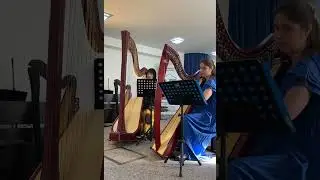 Vivaldi Andante (harp duo)