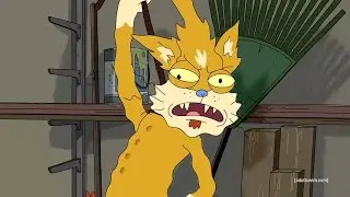 What Squanch means [Rick and Morty]
