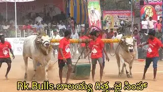 Rentachintala,Juniors..3🏆విజేత. RK Bulls.అత్తోట శిరీష చౌదరి శివకృష్ణ చౌదరి గారు వేటపాలెం గ్రామం 2450