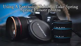 Using A Extension Tube for Macro Photography