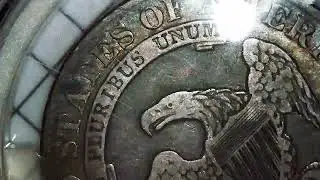 1833 CAPPED BUST HALF DOLLAR PCGS VF25 REVIEW #silverdollar #cappedbust #coins #pcgs #coincollecting