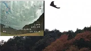 2025.12.07_FPV Wing AR WING Pro