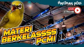 🔴  LIVE Masteran Pleci Materi Lomba Pcmi Terbaru