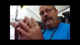 Cottonwood Art Festival in Dallas