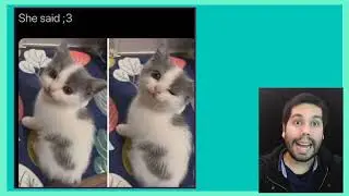 Easy English practice with memes #2 ||    Green Level  (basic)