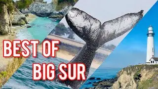 BIG SUR Road Trip: Redwoods, Whales, Waterfalls, and Stunning Beaches