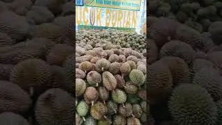 Ucok Durian Medan!!!