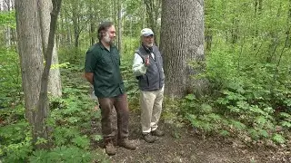 Harriet's Crossing (Apalachin Marsh Dedication)