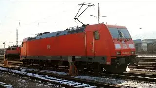 185 584 von Rheincargo begegnet zwei Triebwagen der BR 463 von DB Regio in Ringsheim am Rhein