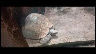 EN TEMAIKEN - PARTE 1
