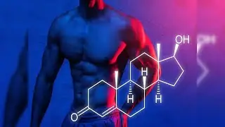 Testosterone क्या होता है।  kese boost kara  |        Health area