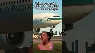🥲💔 #flightsimulation #aviation #flightsimulator #memes
