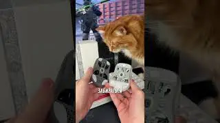 Это новые премиальные игровые мыши от Дарк Проджект ME5 Pro ТГ: InterShop