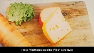 RESEARCH HYPOTHESES : NULL AND ALTERNATIVE