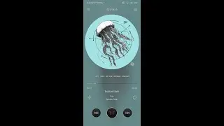 Mango Audio Player