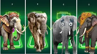 Tiles Hop - Mammoth🆚 Elephant 🆚 Funny Mammoth 🆚 Funny Elephant 🎶 Tiles Hop EDM Rush #coffindance