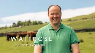 Behind The Scenes: Our Native Breed Beef Cattle | Waitrose