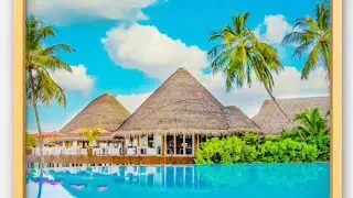 Relaxing Visuals to Unwind