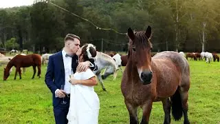 Wedding Videographer - Central Coast - Glenworth Valley