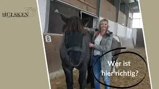 F&uuml;r wen ist ein Coaching mit Co-Coach Pferd?