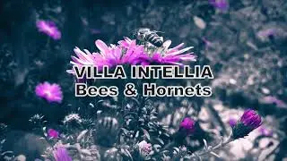 Villa Intellia - Bees & Hornets (Electronic Trance)