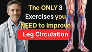 The Circulation Method | Strengthen Your Legs in Minutes