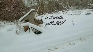 WINTER HOMESTEADING IN CANADA!