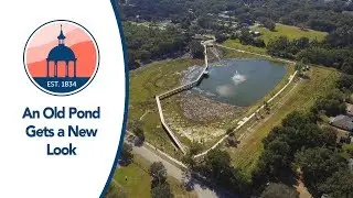 An old pond turns into a new park! - Lucy Dell Community Pond