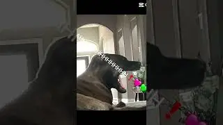 #relateablepost #edit #relateablememes #shortvideo #memes #relateble #relateable #funny #reels