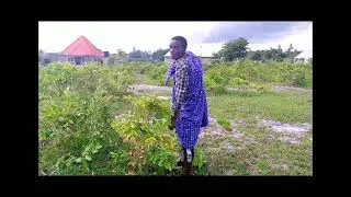 masaii Kaharibu haliyahewa